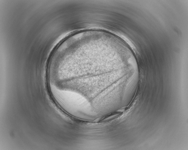 X0000114531142200911161331