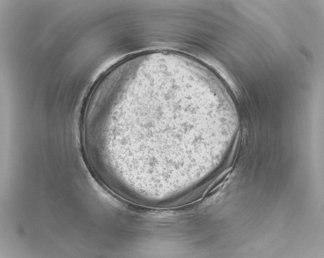 X0000114531143200911161331