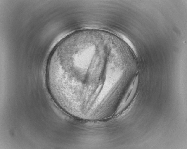 X0000114531146200911161331