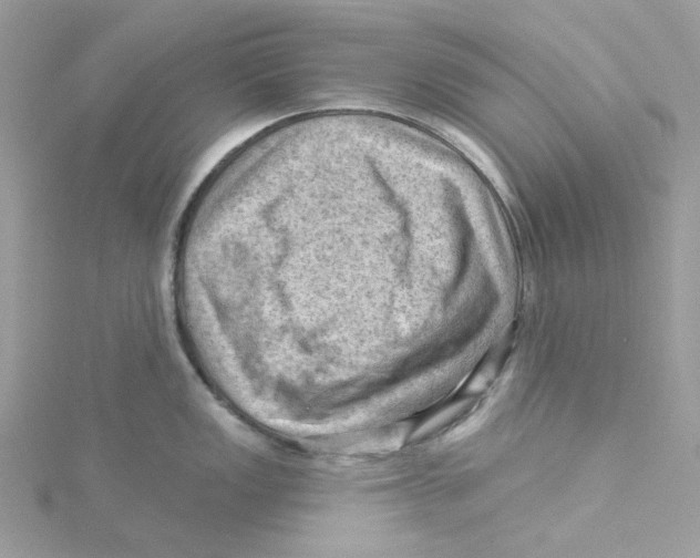 X0000114531149200911161331