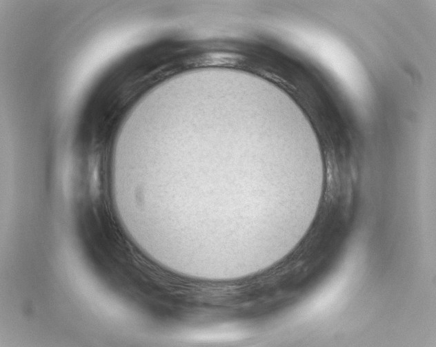 X0000114531150200911161331