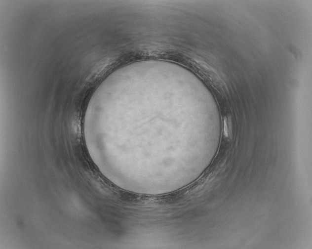 X0000114531155200911161331