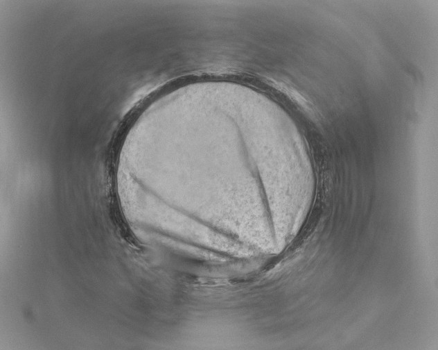 X0000114531160200911161331