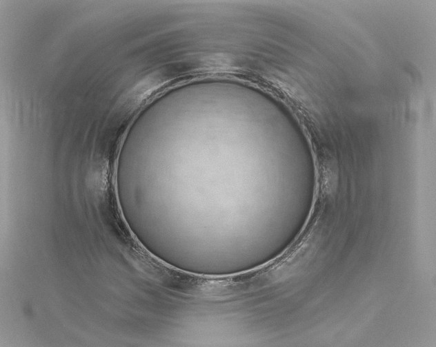 X0000114531161200911161331