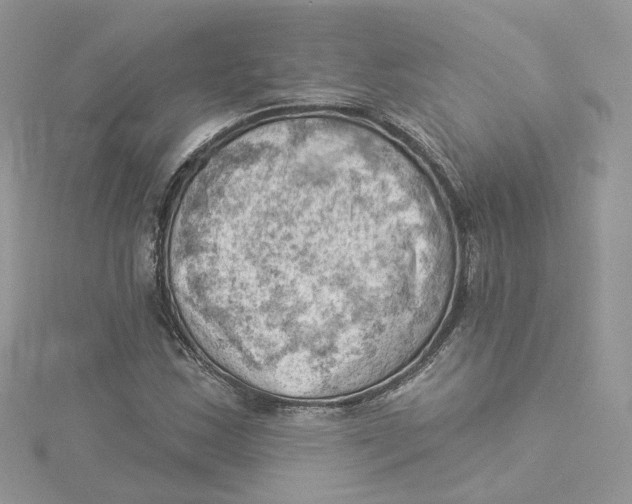 X0000114531163200911161331