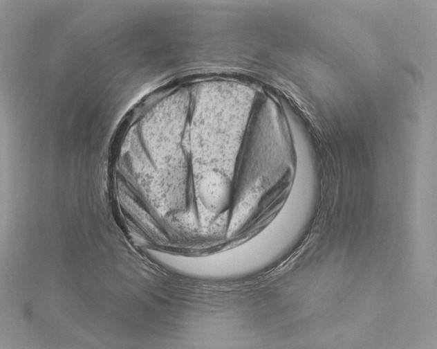 X0000114531165200911161331