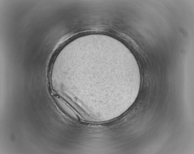 X0000114531168200911161331