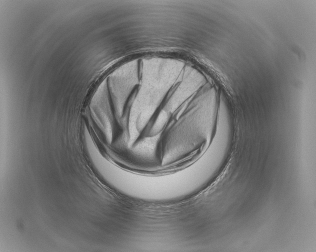 X0000114531169200911161331