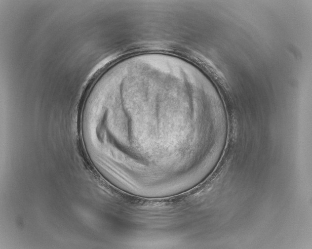 X0000114531174200911161330