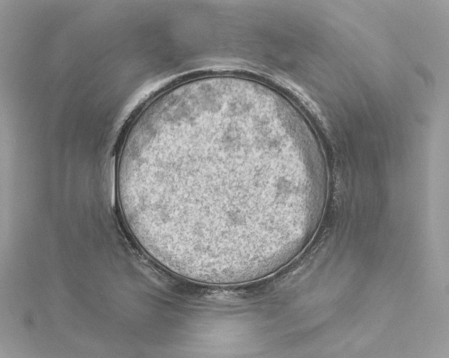 X0000114531175200911161330