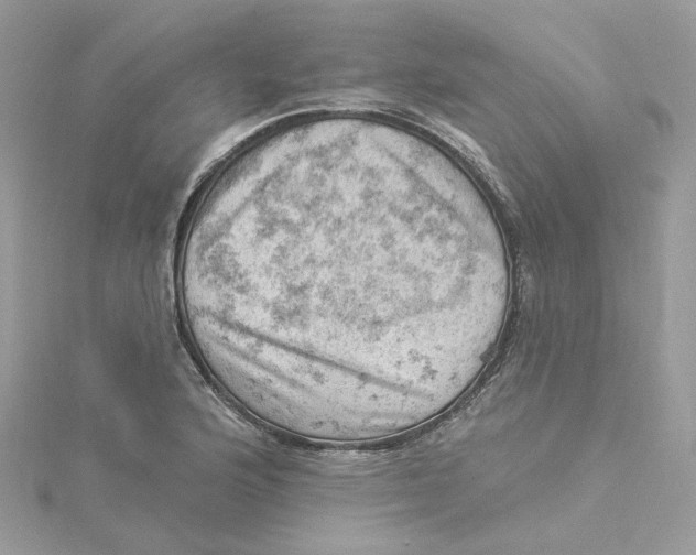 X0000114531176200911161330