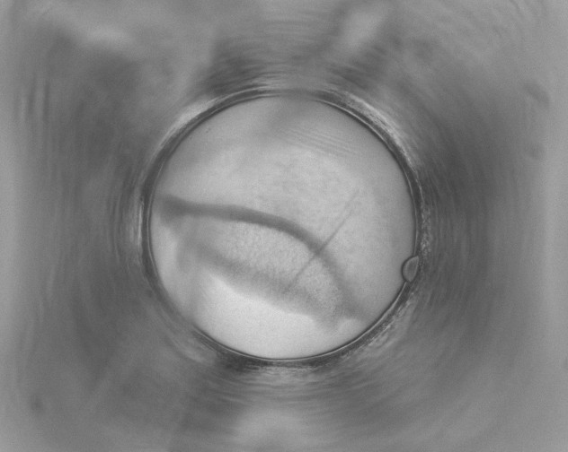 X0000114531179200911161330