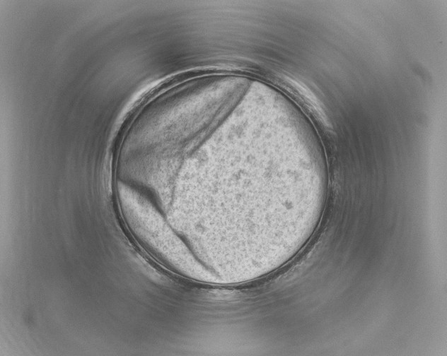 X0000114531180200911161330