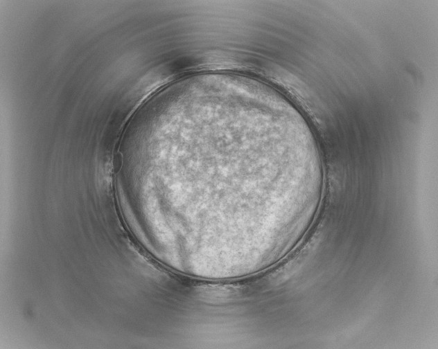 X0000114531185200911161330