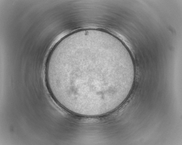 X0000114531187200911161330