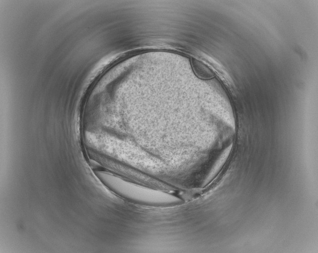 X0000114531188200911161330