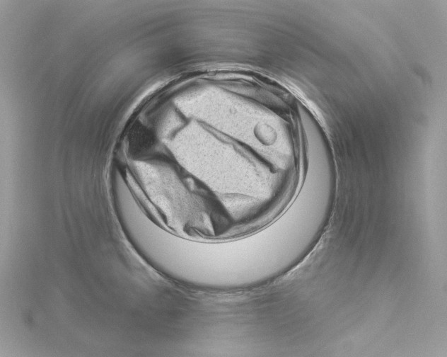 X0000114531189200911161330