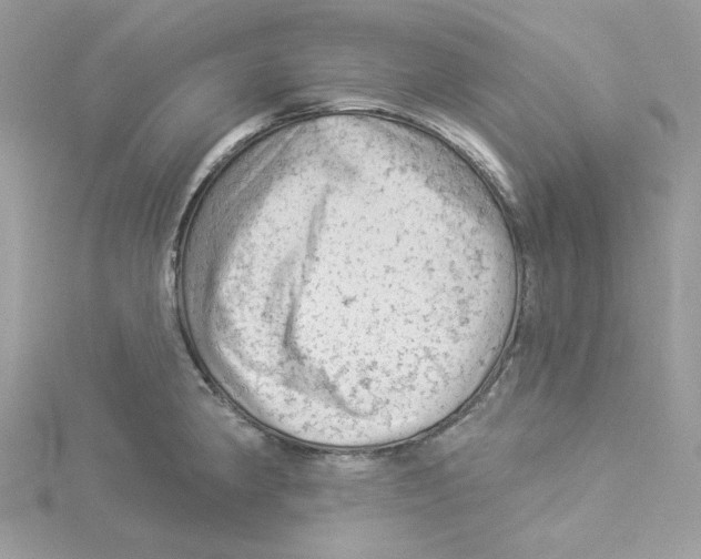 X0000114531190200911161330