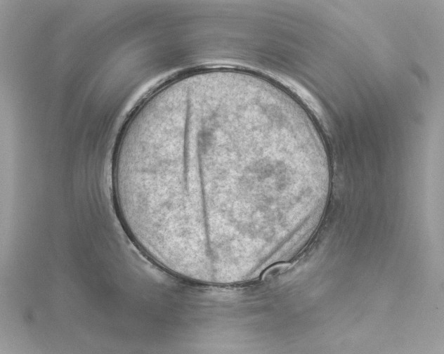 X0000114531191200911161330