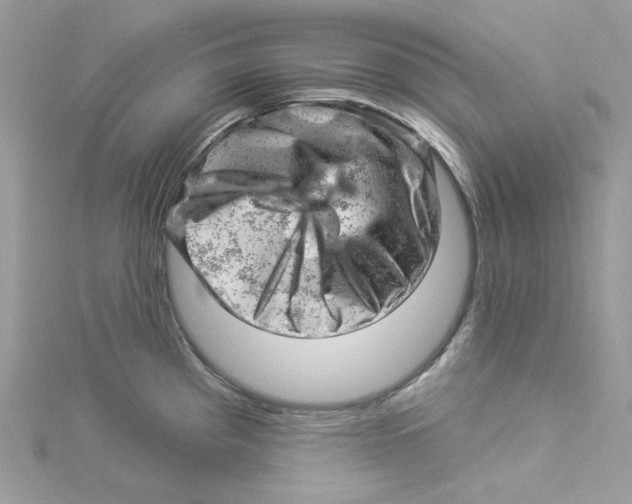 X0000114531193200911161330