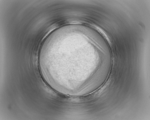 X0000114531194200911161330