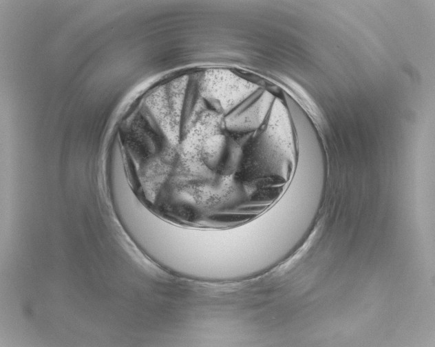 X0000114531196200911161330