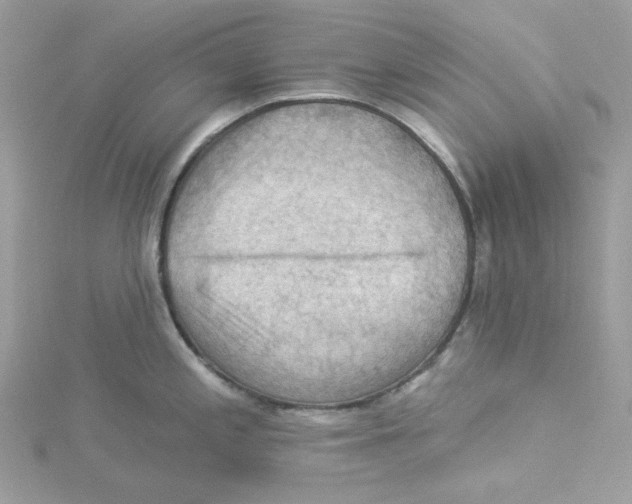 X0000114531197200911161330