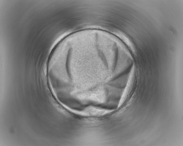 X0000114531198200911161330