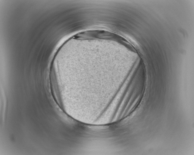 X0000114531200200911161330