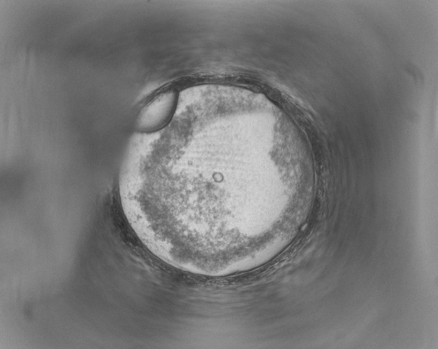 X0000114531206200911161330