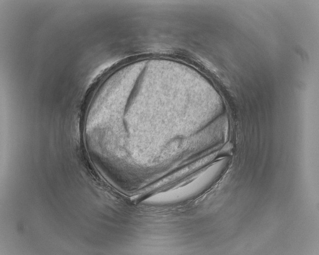 X0000114531214200911161330