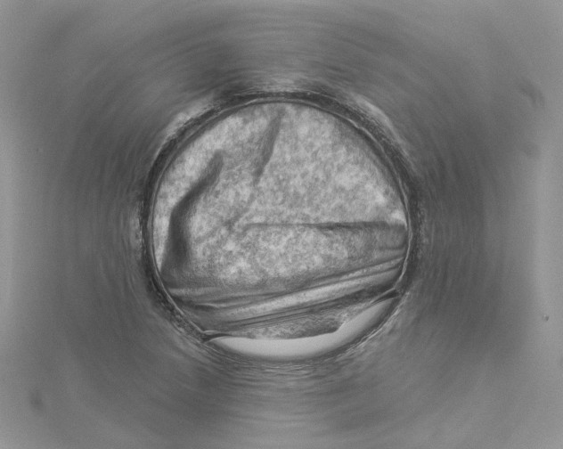 X0000114531218200911161330