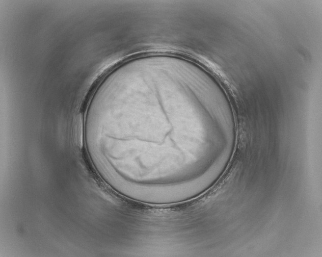 X0000114531223200911161330