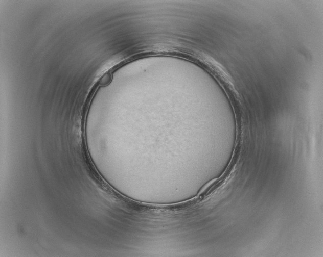 X0000114531226200911161330