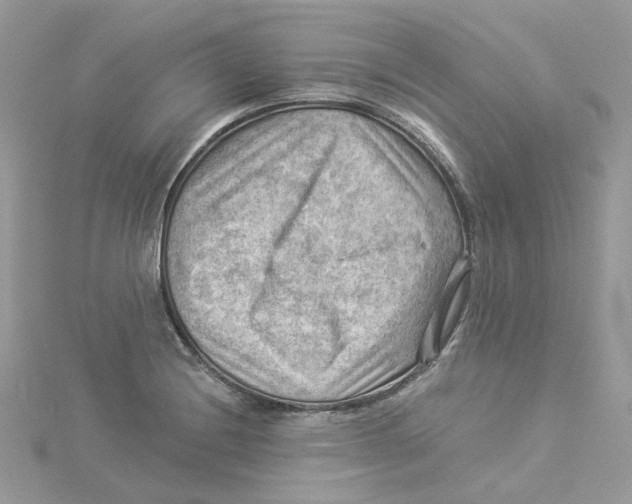 X0000114531228200911161330