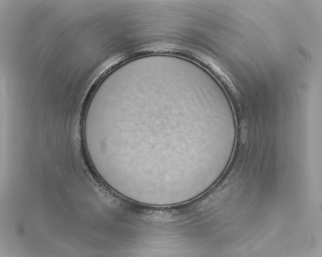 X0000114531229200911161330