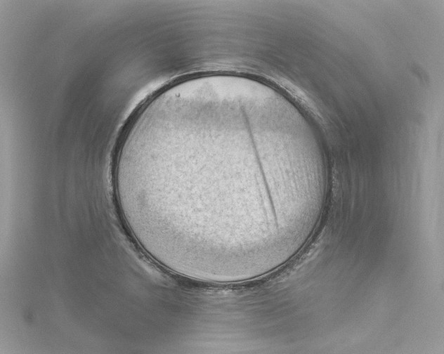 X0000114531230200911161330