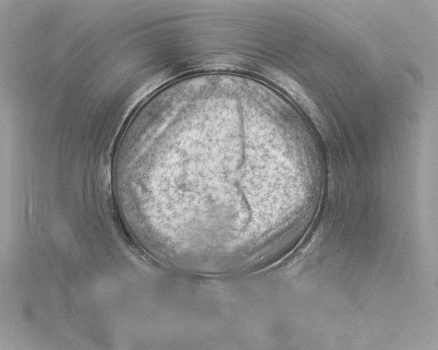 X0000114531234200911161330