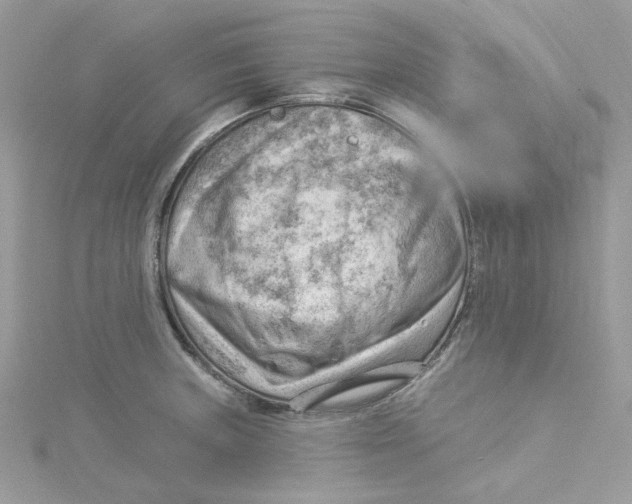 X0000114531235200911161330