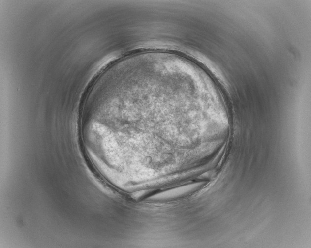 X0000114531237200911161330