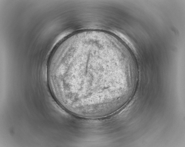 X0000114531238200911161330