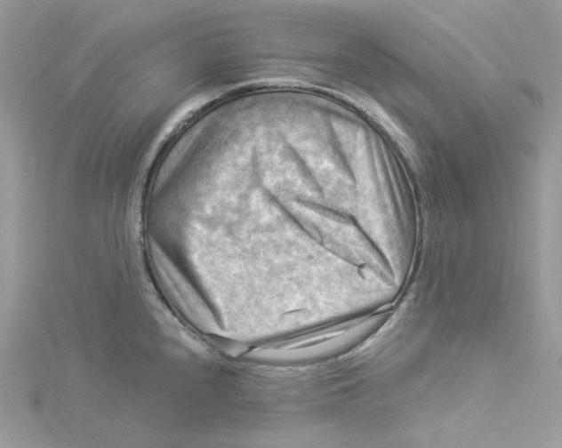 X0000114531240200911161330