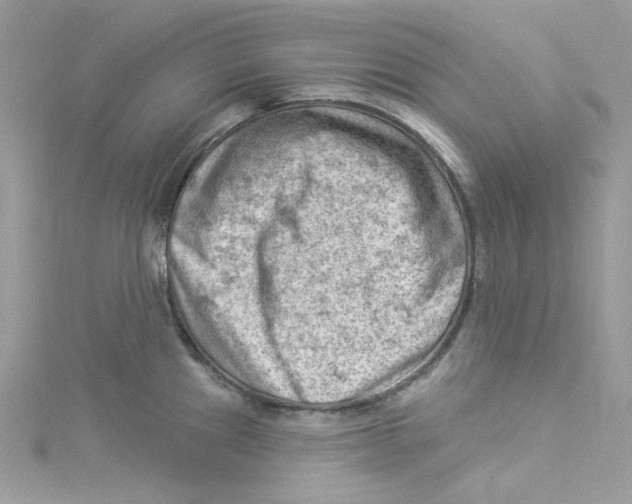 X0000114531241200911161330