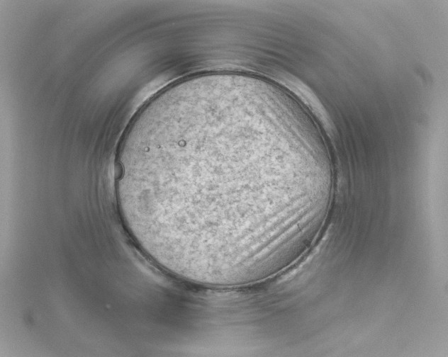 X0000114531242200911161330