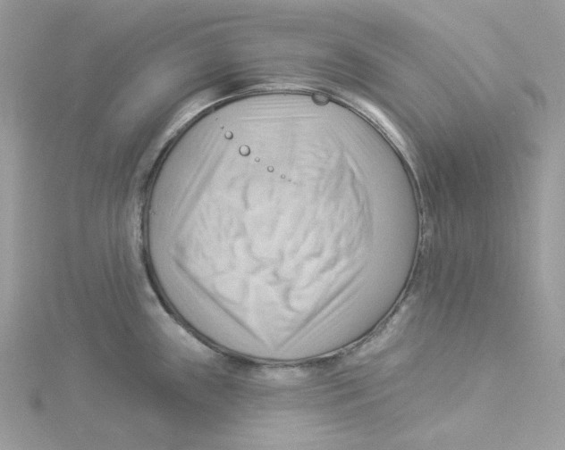 X0000114531243200911161330