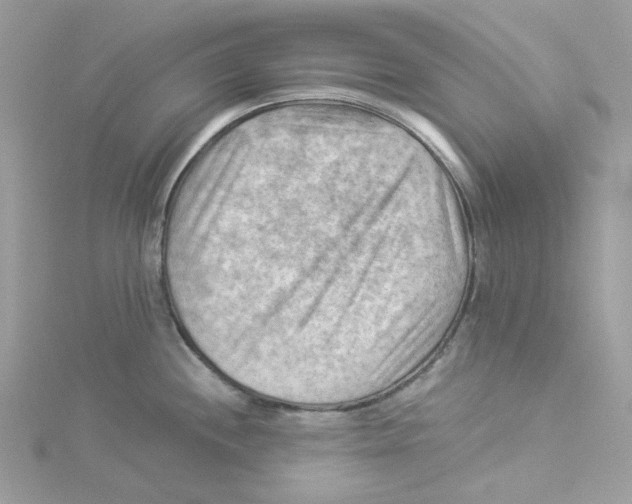 X0000114531244200911161330