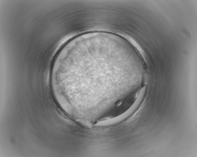 X0000114531246200911161330