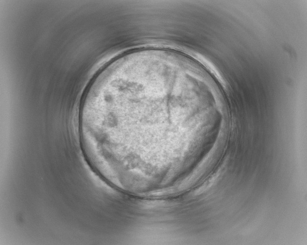 X0000114531247200911161330