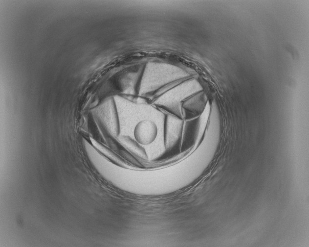 X0000114531253200911161329