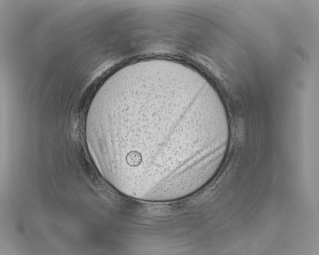 X0000114531258200911161329